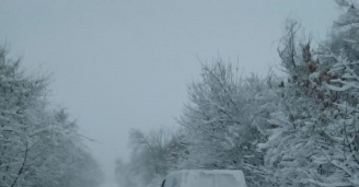 Фото И среди «физиков»  бывают мечтатели №4