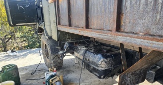 Фото Упрямая Шишига №2